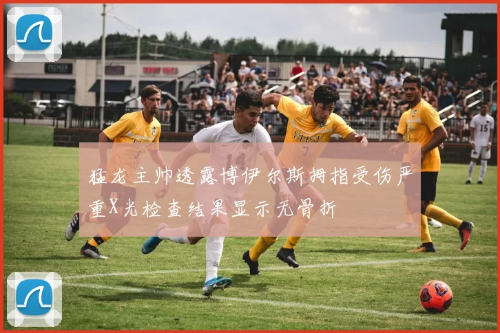 猛龙主帅透露博伊尔斯拇指受伤严重X光检查结果显示无骨折