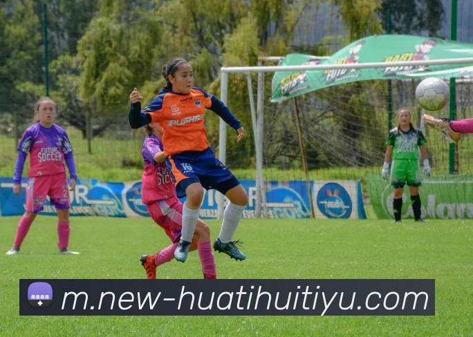 华体会体育服务体系